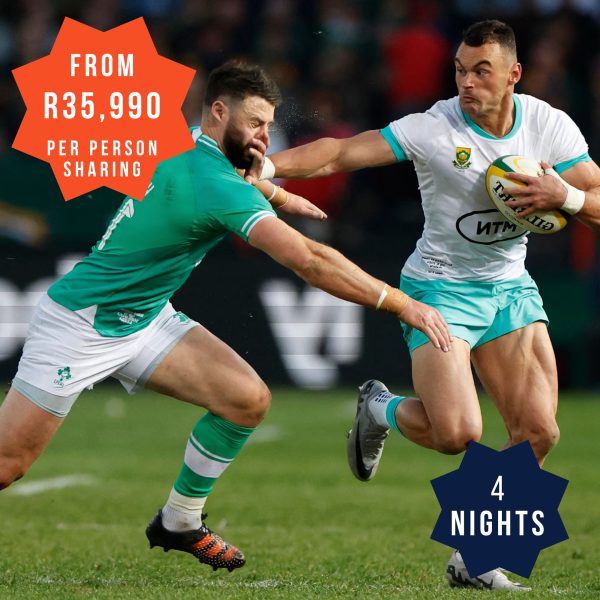 Ireland vs Springboks in Dublin