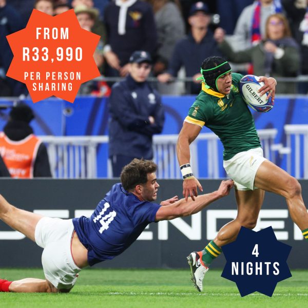 France vs Springboks